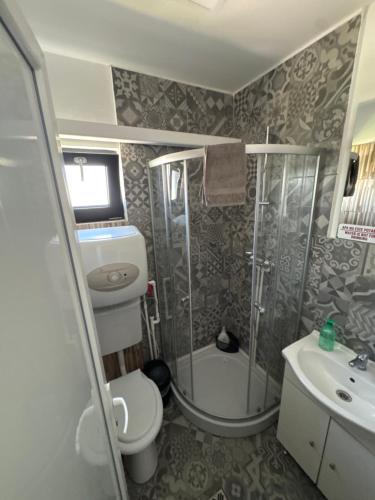 a bathroom with a shower and a toilet and a sink at Oxygen Rooms in Hunedoara