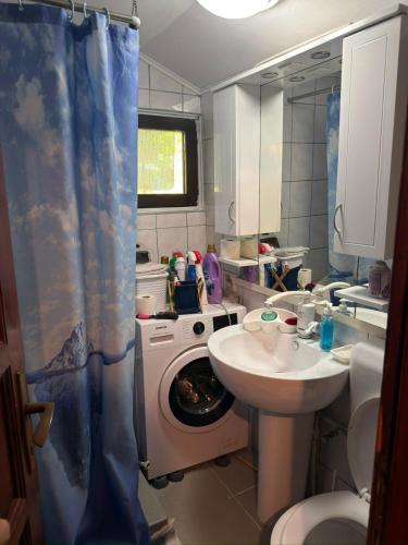 a bathroom with a sink and a washing machine at Vikendica Avlija in Rožaje