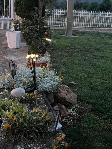a garden with flowers and lights in a yard at The Arches House Bed and Breakfast IUN F1092 in Alghero