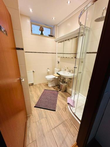 a bathroom with a toilet and a sink and a shower at City apartment with private parking in Nuremberg
