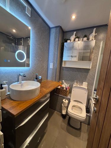 a bathroom with a sink and a toilet at Cosy home in Edinburgh in Edinburgh