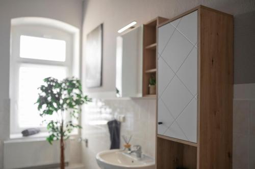 a bathroom with a sink and a mirror at FeWo LUNA in Riesa