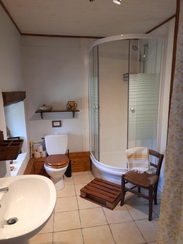 a bathroom with a shower and a toilet and a sink at Le Pre Vert - Garden Suite in Marat