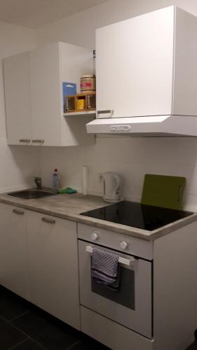 a kitchen with a sink and a stove top oven at Altstadtblick in Heidelberg