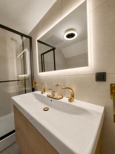 a bathroom with a white sink and a mirror at Bela Resort - Glamping in Motnik