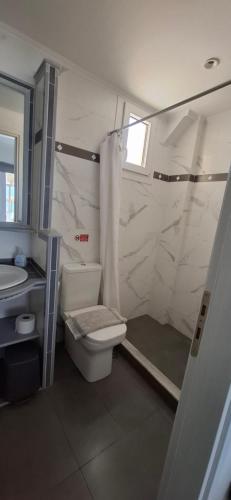 a bathroom with a toilet and a shower and a sink at Kedros -Small Seaside Studio -Ground Floor in Elafonisos
