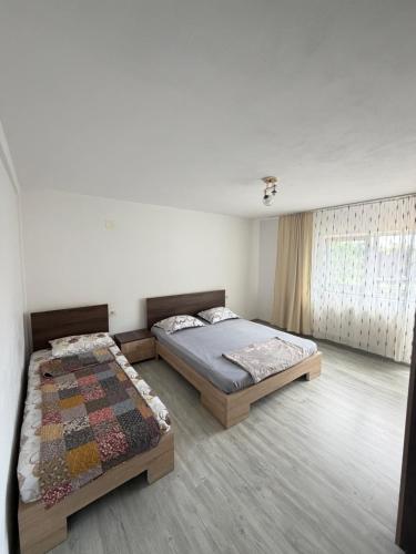 a bedroom with two beds and a rug in it at Vila Mina in Ocnele Mari