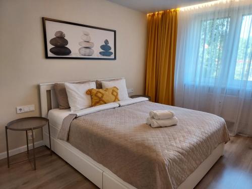 a bedroom with a large bed and a window at Vasaros estrados apartamentai, self check-in, free parking in Klaipėda