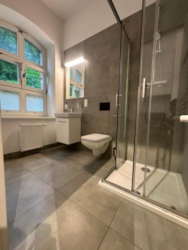 a bathroom with a shower and a toilet and a sink at Apartament Gdański Harward lokal nr 2 in Gdańsk