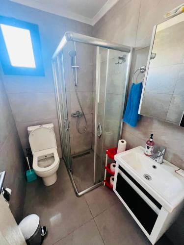 a bathroom with a shower and a toilet and a sink at Aslan House in Nicosia