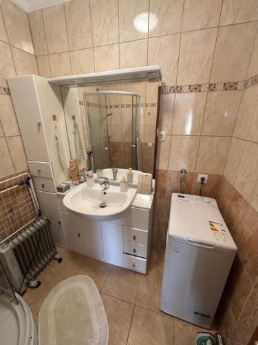 a bathroom with a sink and a mirror at TanúHill Garden in Tapolca