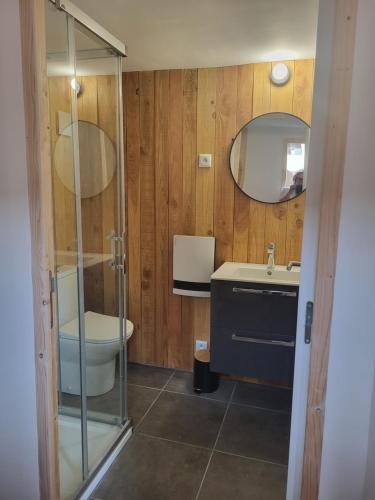 a bathroom with a toilet and a sink and a mirror at Appartement proche Taizé Cluny in Massilly