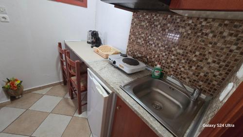 a kitchen with a sink and a counter top at studios ELENA in Potos