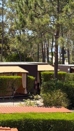 Quinta Dos Amarelos Sesimbra
