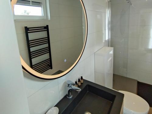 a bathroom with a sink and a mirror on the wall at OV815- Chalet Eveline in Blokzijl