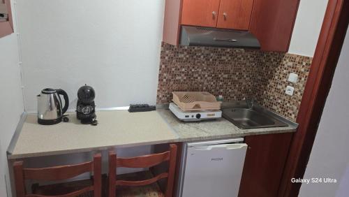 a small kitchen with a counter and a sink at studios ELENA in Potos