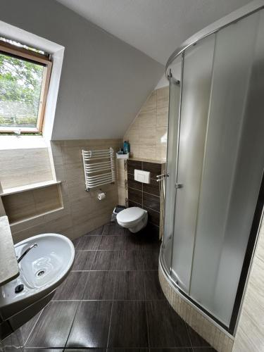 a bathroom with a toilet and a sink and a shower at ahoj PRZYLESIE in Pobierowo