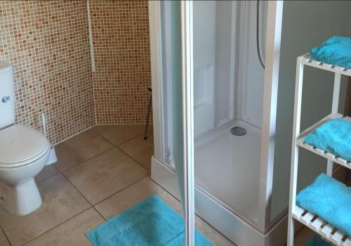 a bathroom with a toilet and a shower with blue mats at Logis Hotel Restaurant La Chaumière in Tournon-sur-Rhône