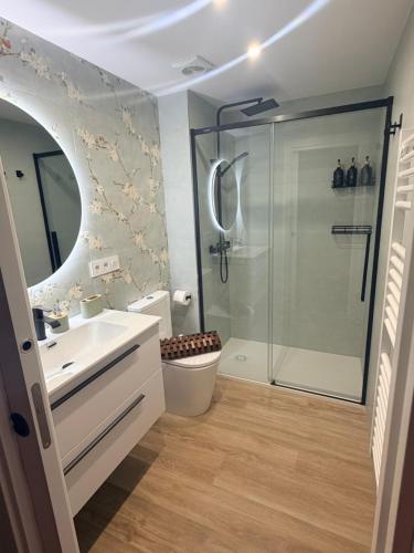 a bathroom with a shower and a toilet and a sink at El rincón de armanyá in Lugo