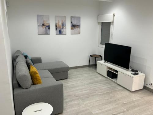 a living room with a couch and a flat screen tv at Cal Botey in Ripoll