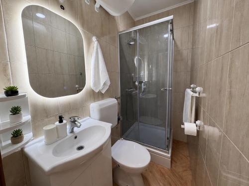 a bathroom with a toilet and a sink and a shower at Apartments Bernarda 2 in Nin