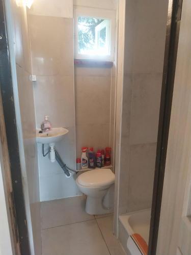 a small bathroom with a toilet and a sink at Domek v přírodě Hradec Králové in Hradec Králové