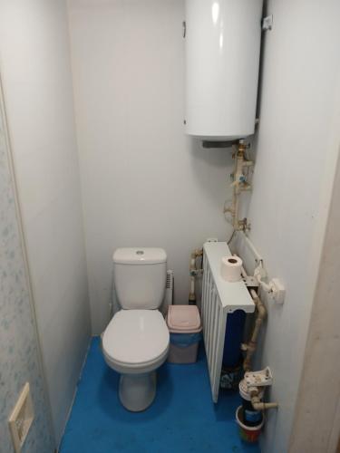 a small bathroom with a toilet and a sink at Дачний будиночок in Kobelyaky