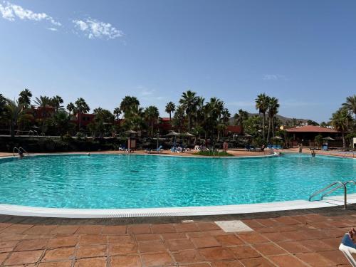 Oasis Bahia