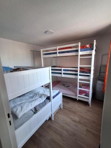 Le montera 44B