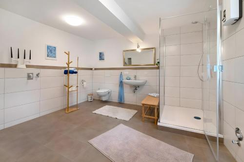 a bathroom with a shower and a toilet and a sink at Ferienwohnung Sensweiler Mühle in Sensweiler
