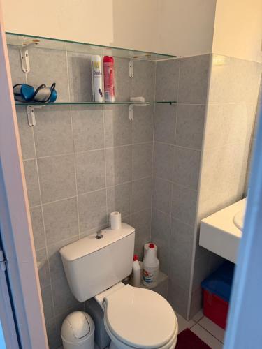 a small bathroom with a toilet and a sink at casa del pescatore in San-Nicolao