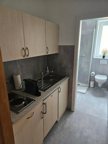a small kitchen with a sink and a sink at City Apartment in Bad Arolsen