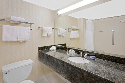 a bathroom with a sink and a toilet and a mirror at Wingate by Wyndham - Arlington Heights in Arlington Heights