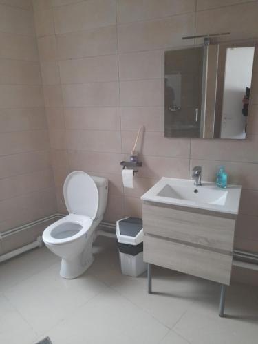 a bathroom with a toilet and a sink at S C I TREFLe in Vernon