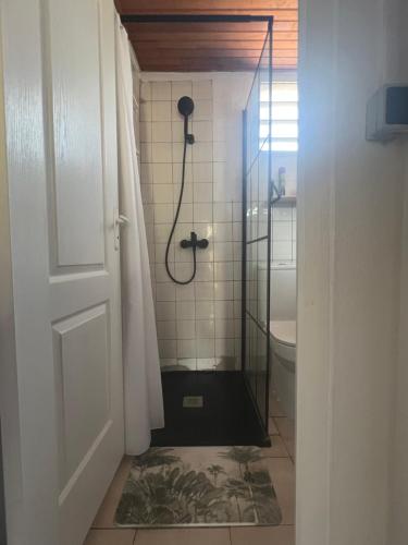 a bathroom with a shower with a glass door at Ti Francois in Le François