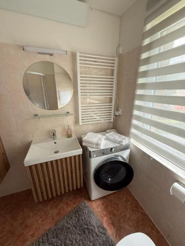 a bathroom with a toilet and a sink and a mirror at Apartment WOLF in Kořenov