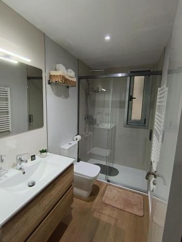 a bathroom with a sink and a toilet and a shower at Las gaviotas,playa,piscinayparking in Malpica