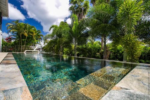 an infinity pool with palm trees in a villa at Karibu House in Les Trois-Îlets
