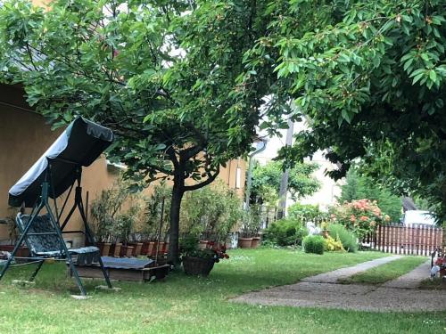 a garden with a chair and a tree in a yard at Pärlan 2 in Balatonboglár