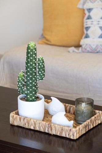 a cactus and a candle on a tray on a table at Plakias Panorama Homes in Plakias