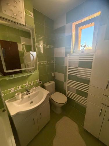 a bathroom with a sink and a toilet and a mirror at Cu Tâmpa la fereastră - Spacious Apartment with Mountain View & 2 Free Parking Spaces in Braşov