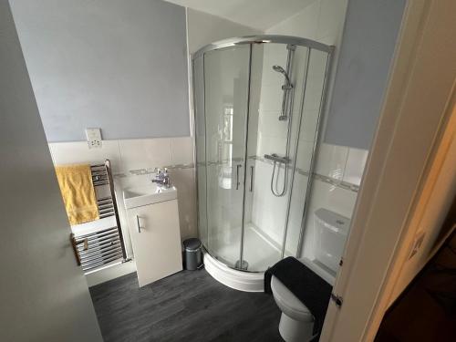 a bathroom with a shower and a toilet and a sink at Tafarn Penllan White Horse in Llanrwst