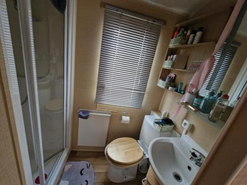 a bathroom with a toilet and a sink and a shower at Camping les cigales 5 étoiles in Le Muy