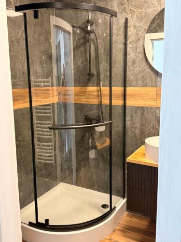 a shower with a glass door in a bathroom at Apartament Lniany in Leszno
