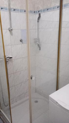 a shower with a glass door in a bathroom at Apartman Laura 3 in Kamenari