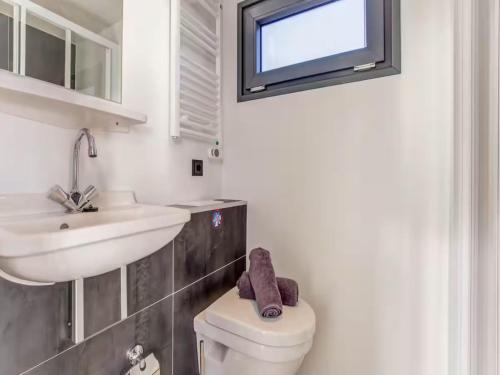 ein Badezimmer mit Toilette, Waschbecken und Spiegel in der Unterkunft Bermuda in Volendam