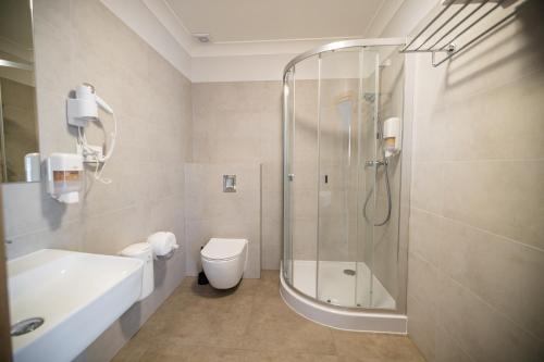 a bathroom with a shower and a toilet and a sink at Nysa Gubin in Gubin