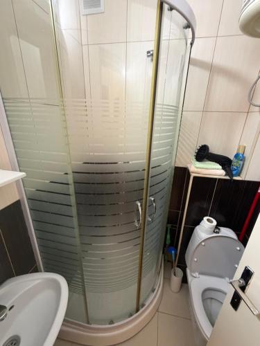 a bathroom with a shower and a toilet and a sink at Bar City Apt in Bar