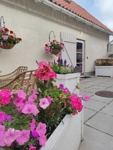 a garden with pink flowers in baskets on a house at Arte Güldenstubbe Residences in Kuressaare