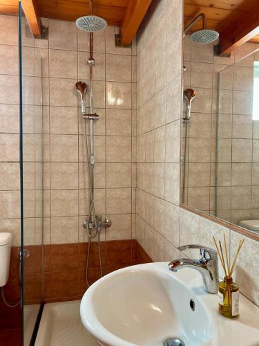 a bathroom with a sink and a shower at A & D Houses No2 in Patra
